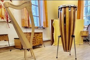 Harfe und Bongo in einem Musikzimmer